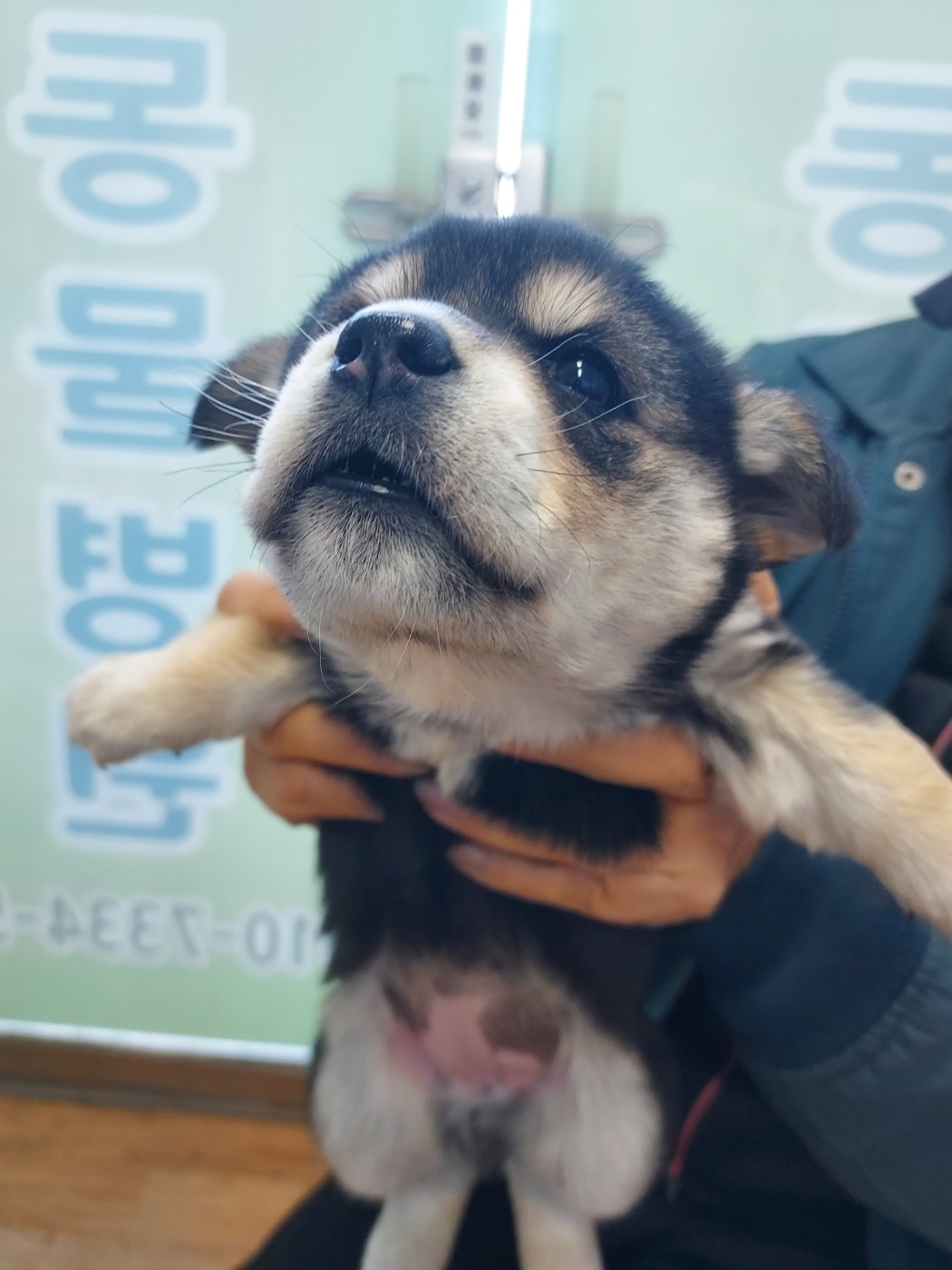 인월동물병원_445470202400198